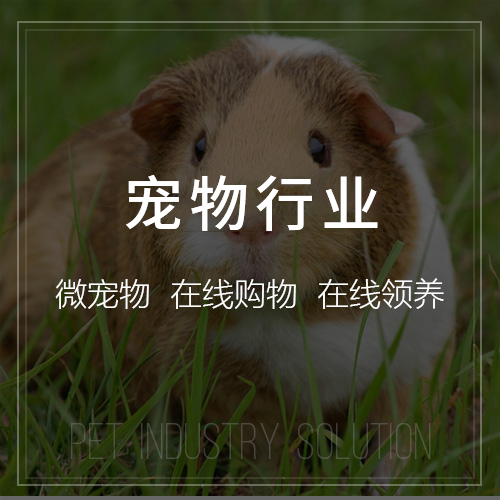 白城企业APP开发中的跨部门协作沟通机制